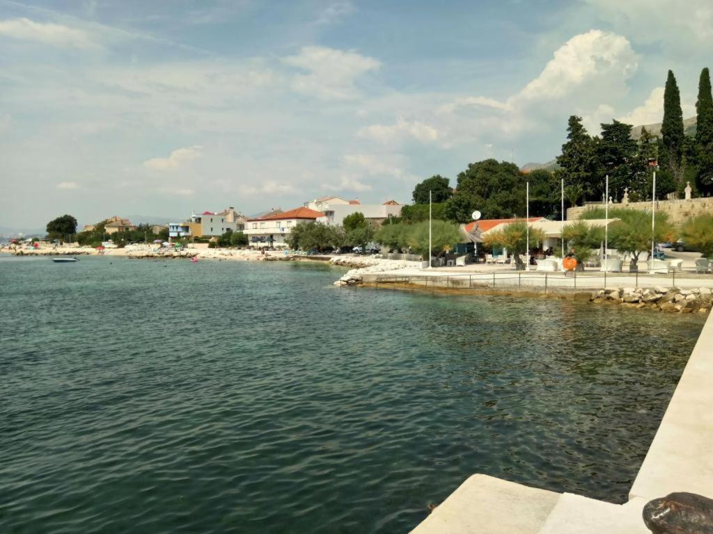 Marijo Saric *